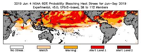 Bleaching Outlook - 60% probability