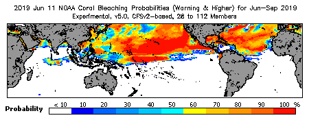 Current Bleaching Heat Stress Outlook Probability - Warning and higher