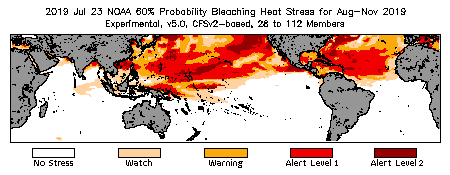 Bleaching Outlook - 60% probability