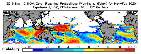 Current Bleaching Heat Stress Outlook Probability - Warning and higher