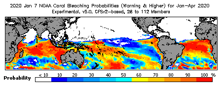 Current Bleaching Heat Stress Outlook Probability - Warning and higher