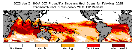 Bleaching Outlook - 60% probability