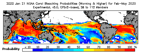 Current Bleaching Heat Stress Outlook Probability - Warning and higher