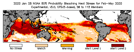 Bleaching Outlook - 60% probability