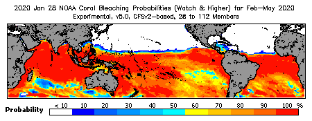 Current Bleaching Heat Stress Outlook Probability - Watch and higher