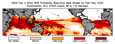 Bleaching Outlook - 60% probability