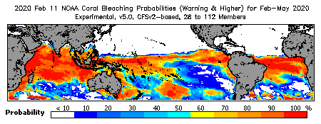 Current Bleaching Heat Stress Outlook Probability - Warning and higher