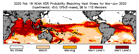 Bleaching Outlook - 60% probability