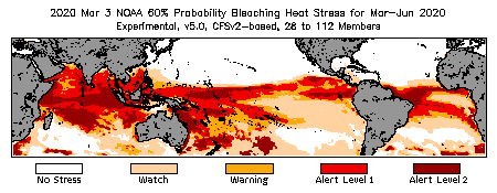 Bleaching Outlook - 60% probability