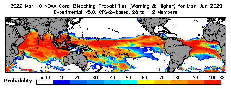 Current Bleaching Heat Stress Outlook Probability - Warning and higher