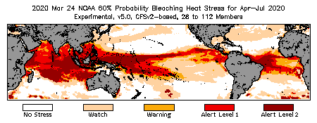 Bleaching Outlook - 60% probability