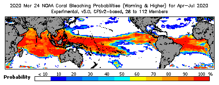 Current Bleaching Heat Stress Outlook Probability - Warning and higher