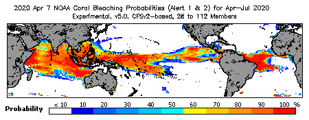 Current Bleaching Heat Stress Outlook Probability - Alert Levels 1 and 2