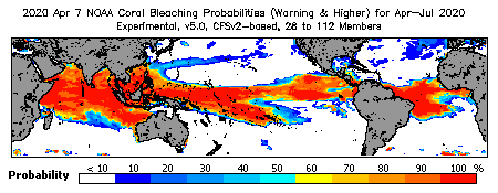 Current Bleaching Heat Stress Outlook Probability - Warning and higher