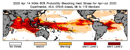 Bleaching Outlook - 60% probability