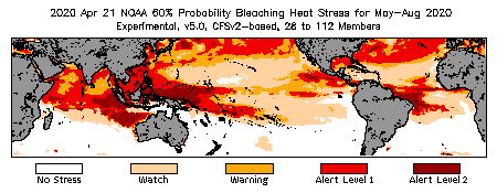 Bleaching Outlook - 60% probability