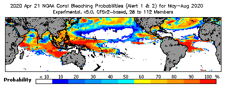 Current Bleaching Heat Stress Outlook Probability - Alert Levels 1 and 2