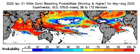 Current Bleaching Heat Stress Outlook Probability - Warning and higher