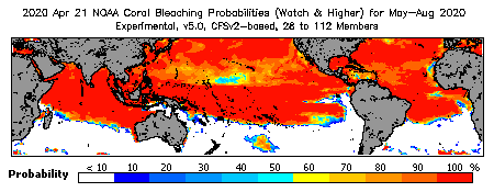 Current Bleaching Heat Stress Outlook Probability - Watch and higher