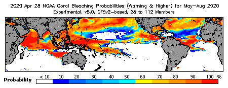 Current Bleaching Heat Stress Outlook Probability - Warning and higher