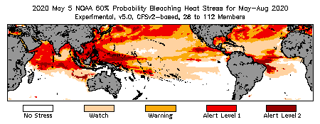 Bleaching Outlook - 60% probability