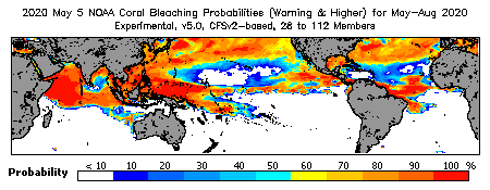 Current Bleaching Heat Stress Outlook Probability - Warning and higher