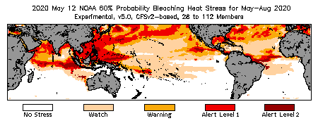 Bleaching Outlook - 60% probability