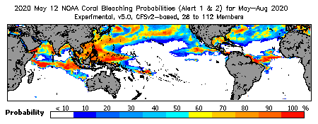 Current Bleaching Heat Stress Outlook Probability - Alert Levels 1 and 2