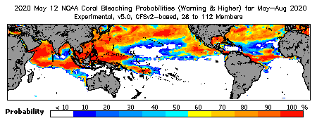 Current Bleaching Heat Stress Outlook Probability - Warning and higher