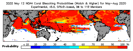 Current Bleaching Heat Stress Outlook Probability - Watch and higher