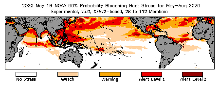 Bleaching Outlook - 60% probability