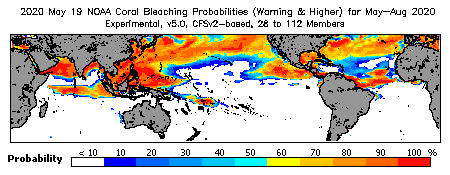 Current Bleaching Heat Stress Outlook Probability - Warning and higher