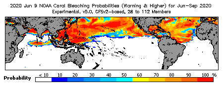 Current Bleaching Heat Stress Outlook Probability - Warning and higher