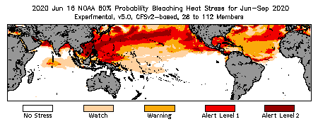 Bleaching Outlook - 60% probability