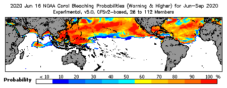 Current Bleaching Heat Stress Outlook Probability - Warning and higher