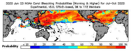 Current Bleaching Heat Stress Outlook Probability - Warning and higher