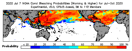 Current Bleaching Heat Stress Outlook Probability - Warning and higher