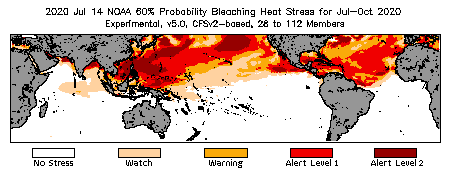 Bleaching Outlook - 60% probability