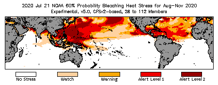 Bleaching Outlook - 60% probability