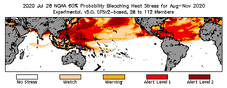 Bleaching Outlook - 60% probability