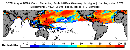 Current Bleaching Heat Stress Outlook Probability - Warning and higher