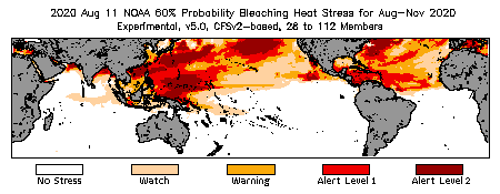 Bleaching Outlook - 60% probability