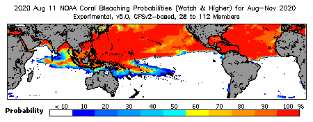 Current Bleaching Heat Stress Outlook Probability - Watch and higher