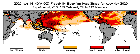 Bleaching Outlook - 60% probability