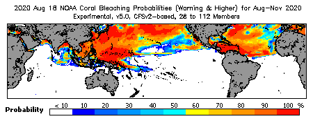 Current Bleaching Heat Stress Outlook Probability - Warning and higher