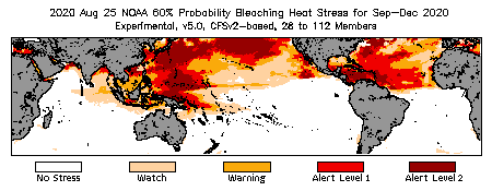 Bleaching Outlook - 60% probability