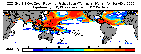 Current Bleaching Heat Stress Outlook Probability - Warning and higher