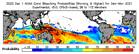 Current Bleaching Heat Stress Outlook Probability - Warning and higher