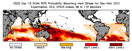 Bleaching Outlook - 60% probability