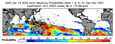 Current Bleaching Heat Stress Outlook Probability - Alert Levels 1 and 2